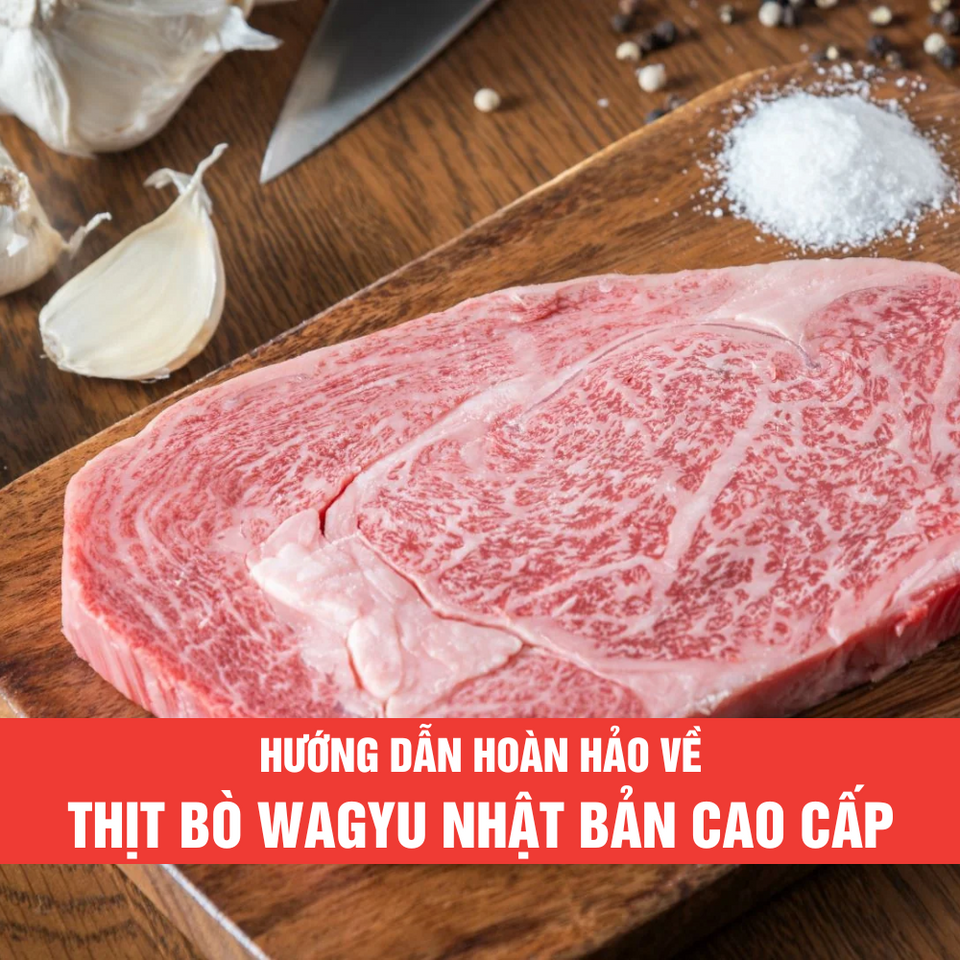 Hướng dẫn hoàn hảo về thịt bò Wagyu Nhật Bản chất lượng cao